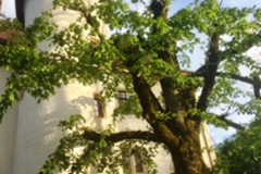 Château ext